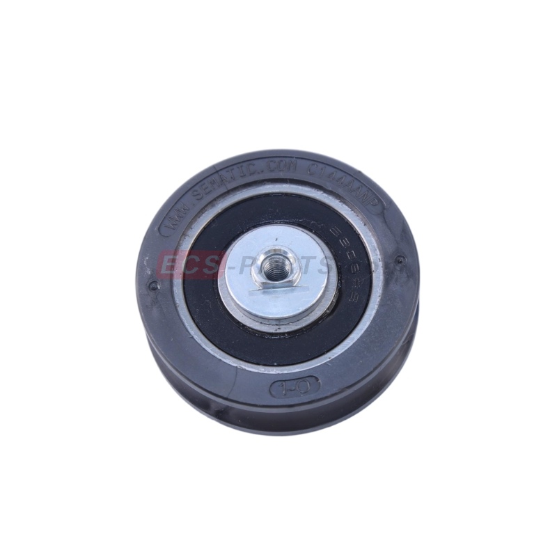 Elevator Door Roller  C144AANP 60mm&lowast;18mm with 6303RS Bearing