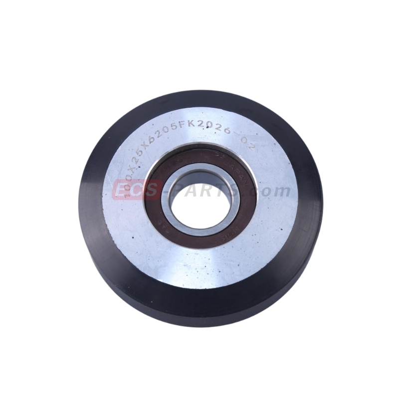 Elevator Guide Roller 100mm&lowast;25mm 6205 Japan NSK